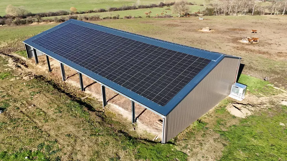 1000-auto-0002096-cre-te-jm-1-copie_d7f71ae35f9f7fad5d840e131d8bc641