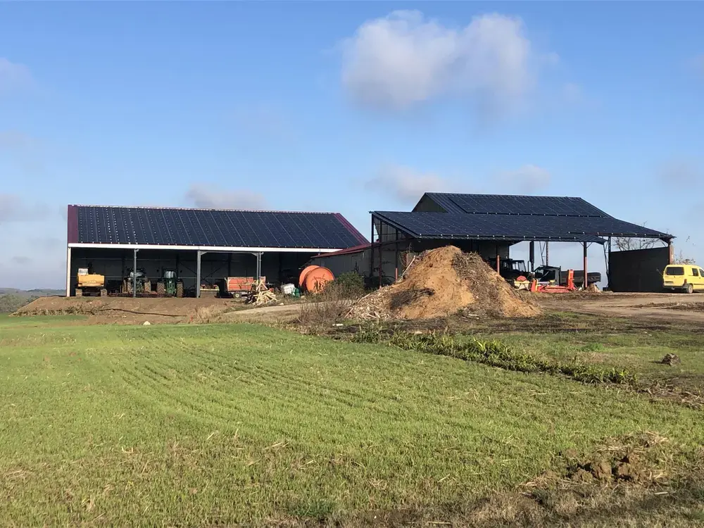 1000-auto-img-8600_9691ddd3c1fdb1c7875517b9716c3c49