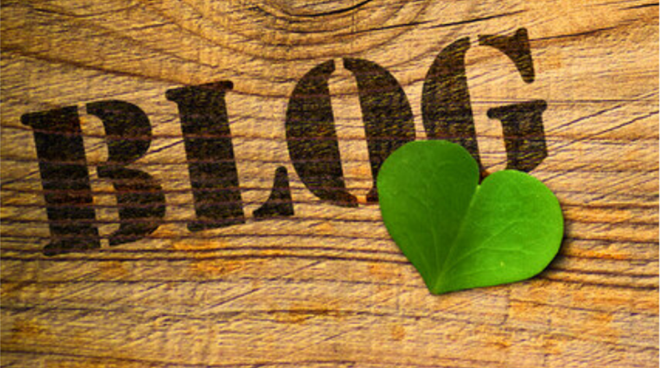 Capture décran 2024-11-22 152745